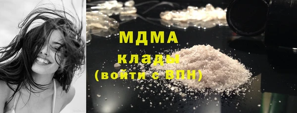 шишки Надым