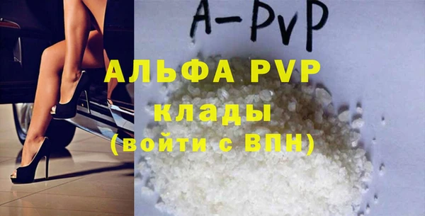 шишки Надым