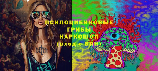 шишки Надым