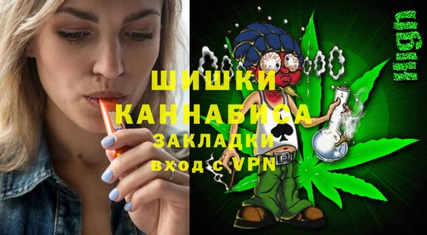 шишки Надым