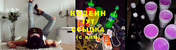 шишки Надым