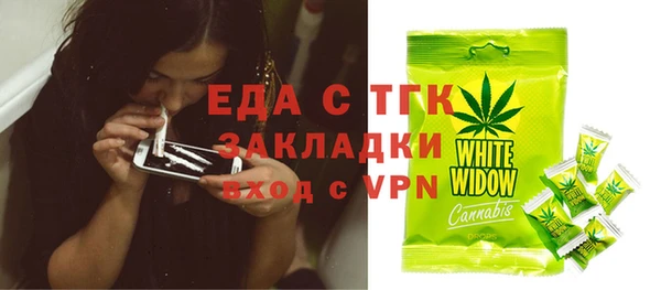 шишки Надым
