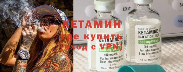 шишки Надым