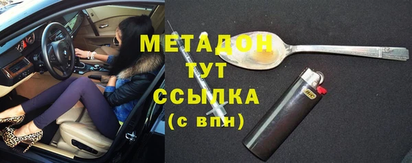 шишки Надым