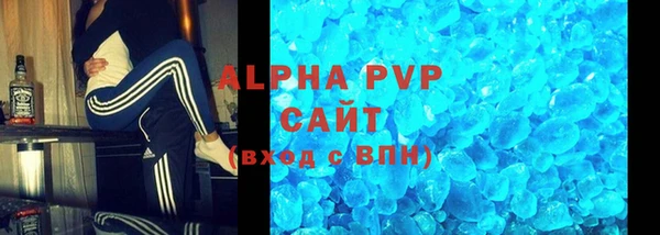 шишки Надым