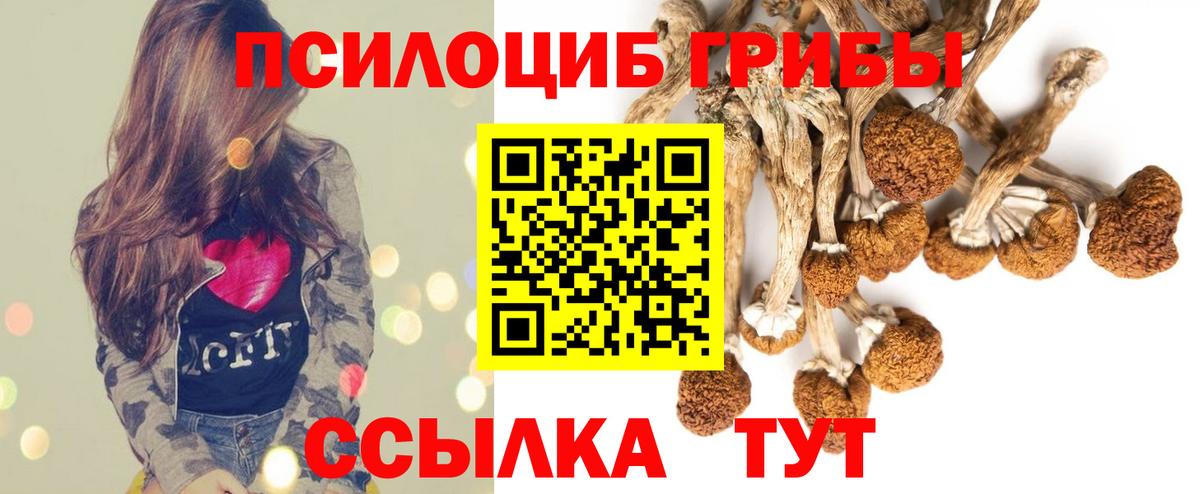 Галлюциногенные грибы MAGIC MUSHROOMS Арзамас