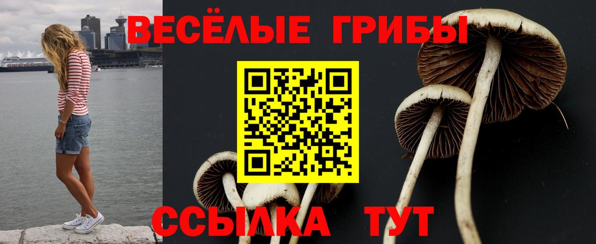 Псилоцибиновые грибы GOLDEN TEACHER  Вход с VPN  Арзамас 